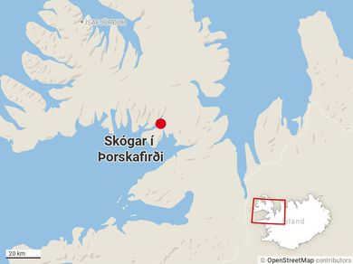 Skógar í Þorskafirði eru um 218 km frá Ísafirði ef farið er um Þorskafjarðarheiði, um 340 km frá Akureyri ef farið er um Búðardal og um 222 km úr Reykjavík