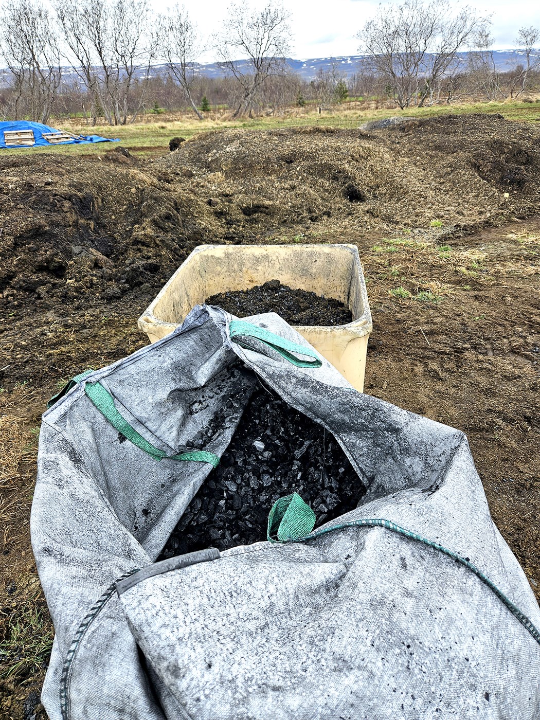 Biochar waiting to be mixed with manure and put to work in the field. Photo: Eymundur Magnússon/Bændablaðið