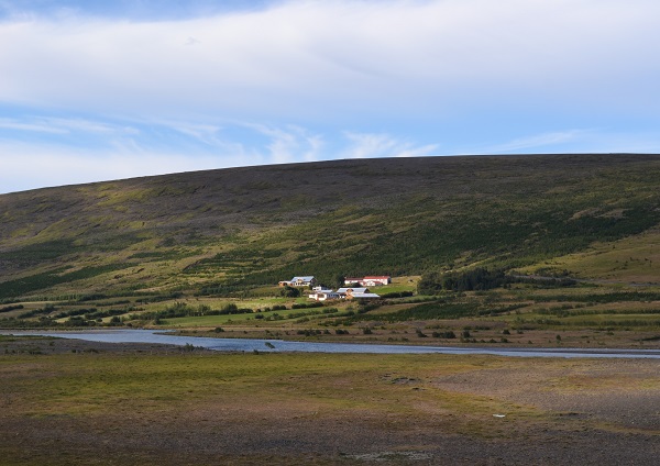 Gróðursett hefur verið í um 160 hektara í land Kirkjubóls og 7 km af skjólbeltum. Ljósmynd: Guðmundur Sigurðsson