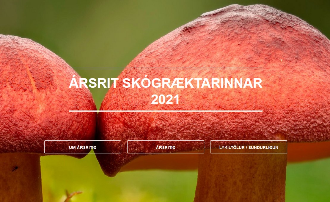Forsíða Ársrits 2021