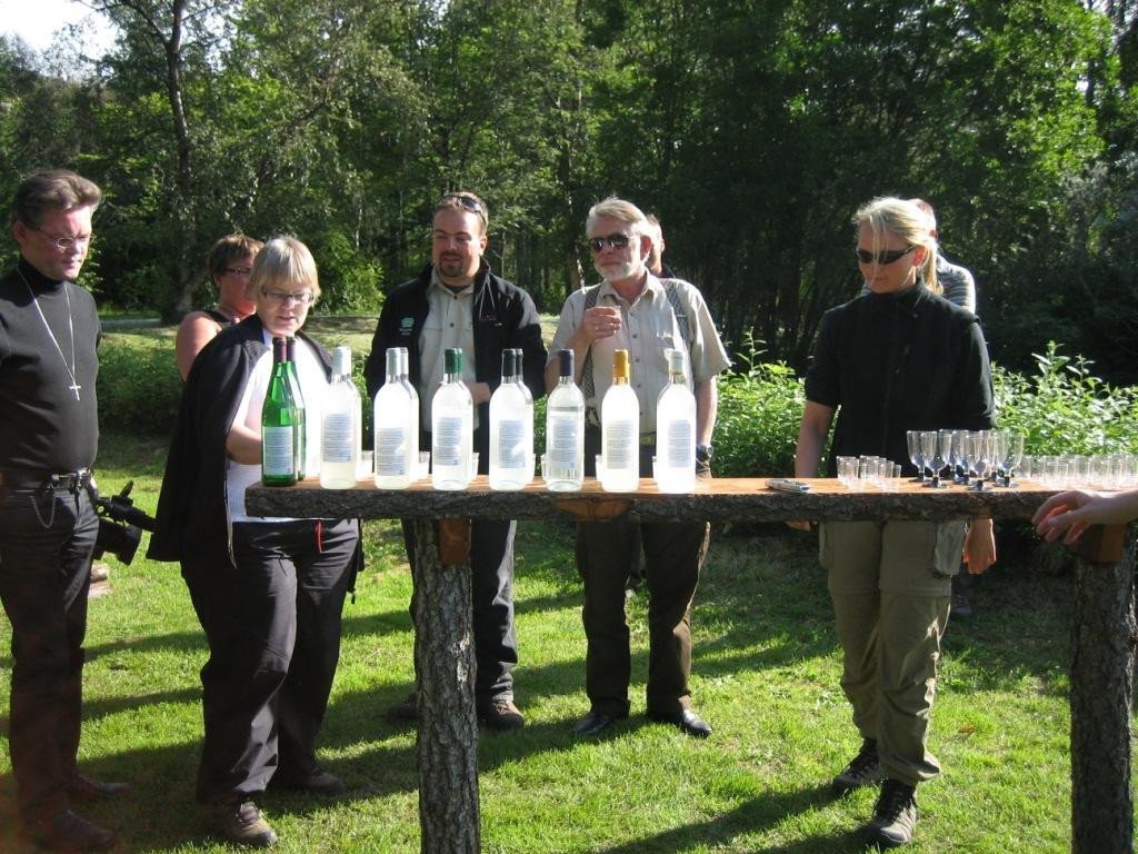 Smökkun birkivíns á Hallormsstað, ágúst 2008