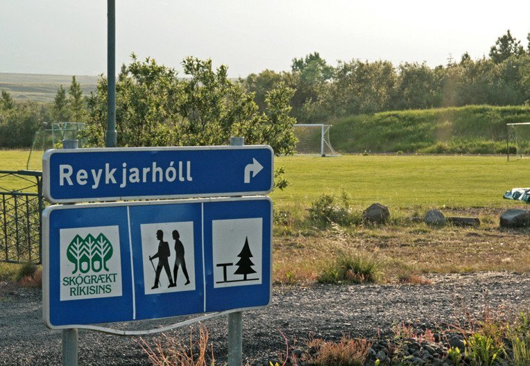 Við aðkomuna að Reykjarhólsskógi