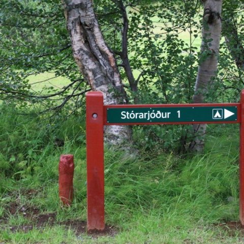 Stórarjóður 1 og 2 eru ein helstu tjaldsvæðin í Vaglaskógi. Ljósmynd: Pétur Halldórsson