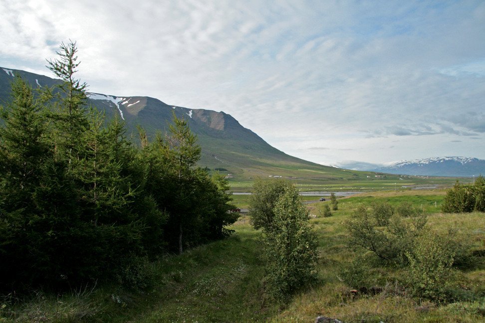 Vaglir á Þelamörk