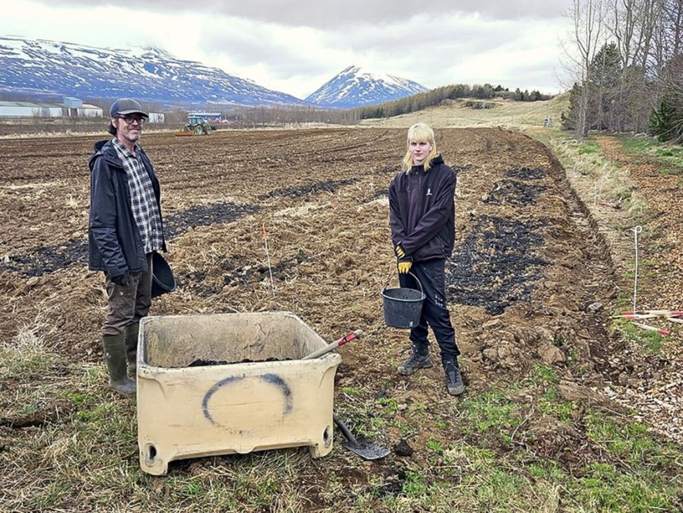 Lárus Heiðarsson, ein Experte in der Forschungsabteilung der Forstwirtschaft, zusammen mit seiner Assistentin Birni St...