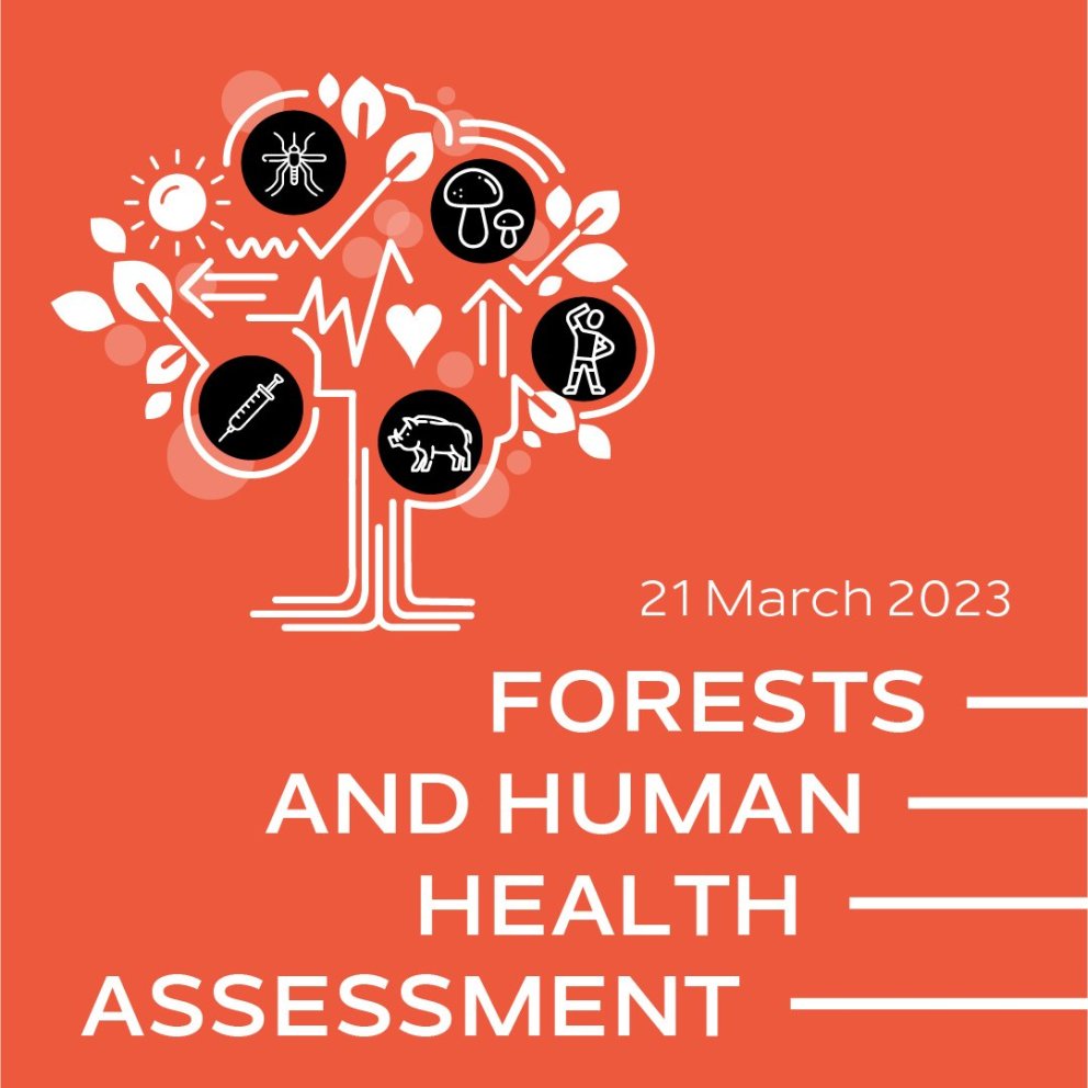 Bewertung der Beziehung zwischen Wäldern und der Gesundheit der Menschen