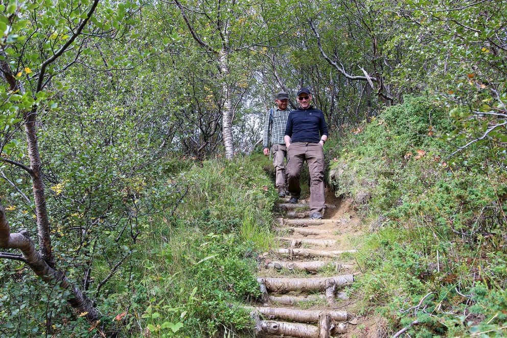 In Þórsmörk und anderswo hat die Forstwirtschaft verschiedene Methoden eingesetzt, um Fußwege gut in die Landschaft zu integrieren...